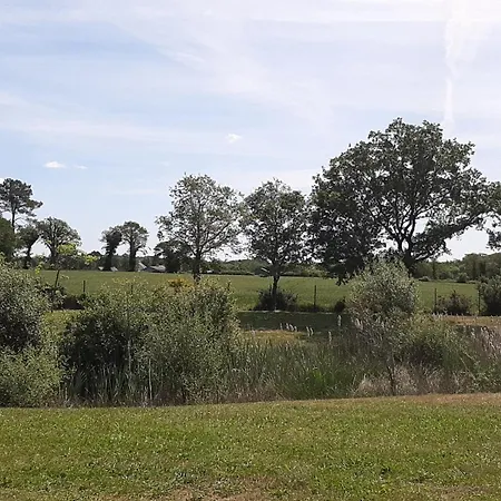 3 Avec Piscine Chauffee, Proche Golfe Du Morbihan, Ideal Pour Familles! - Fr-1-783-5 *